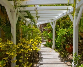 pergola walkway